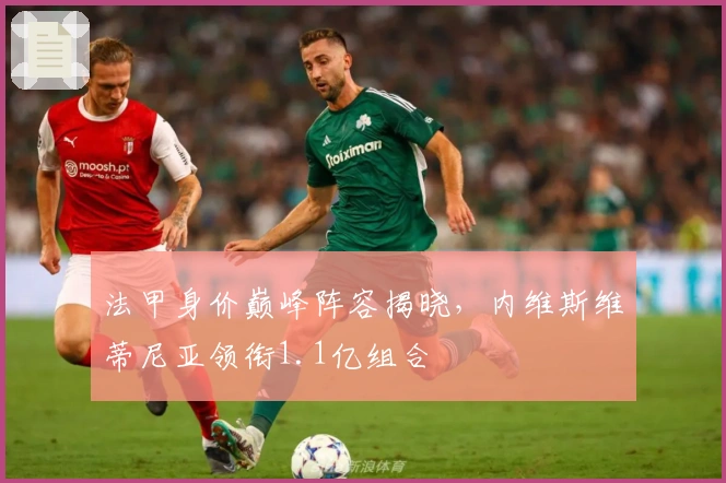 法甲身价巅峰阵容揭晓，内维斯维蒂尼亚领衔1.1亿组合